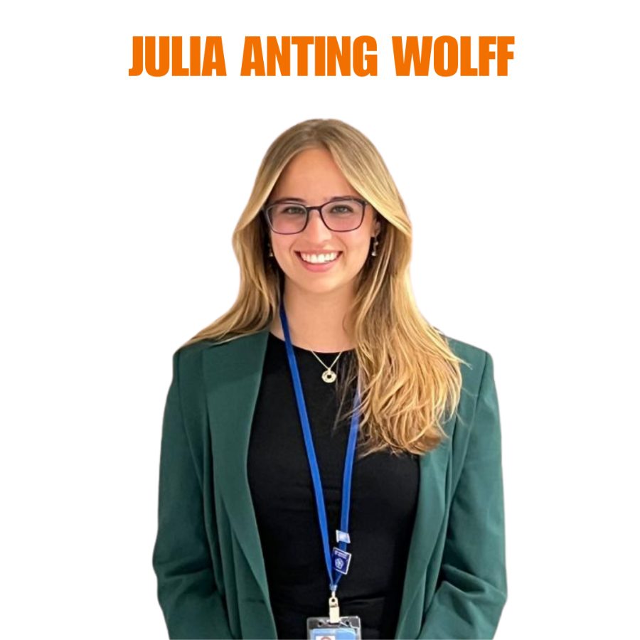 Julia Anting Wolff, Governance & negotiation framing · Futures & Shells